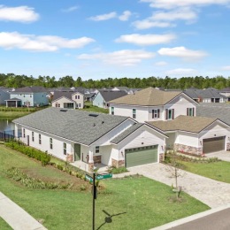 rows of houses and with green d