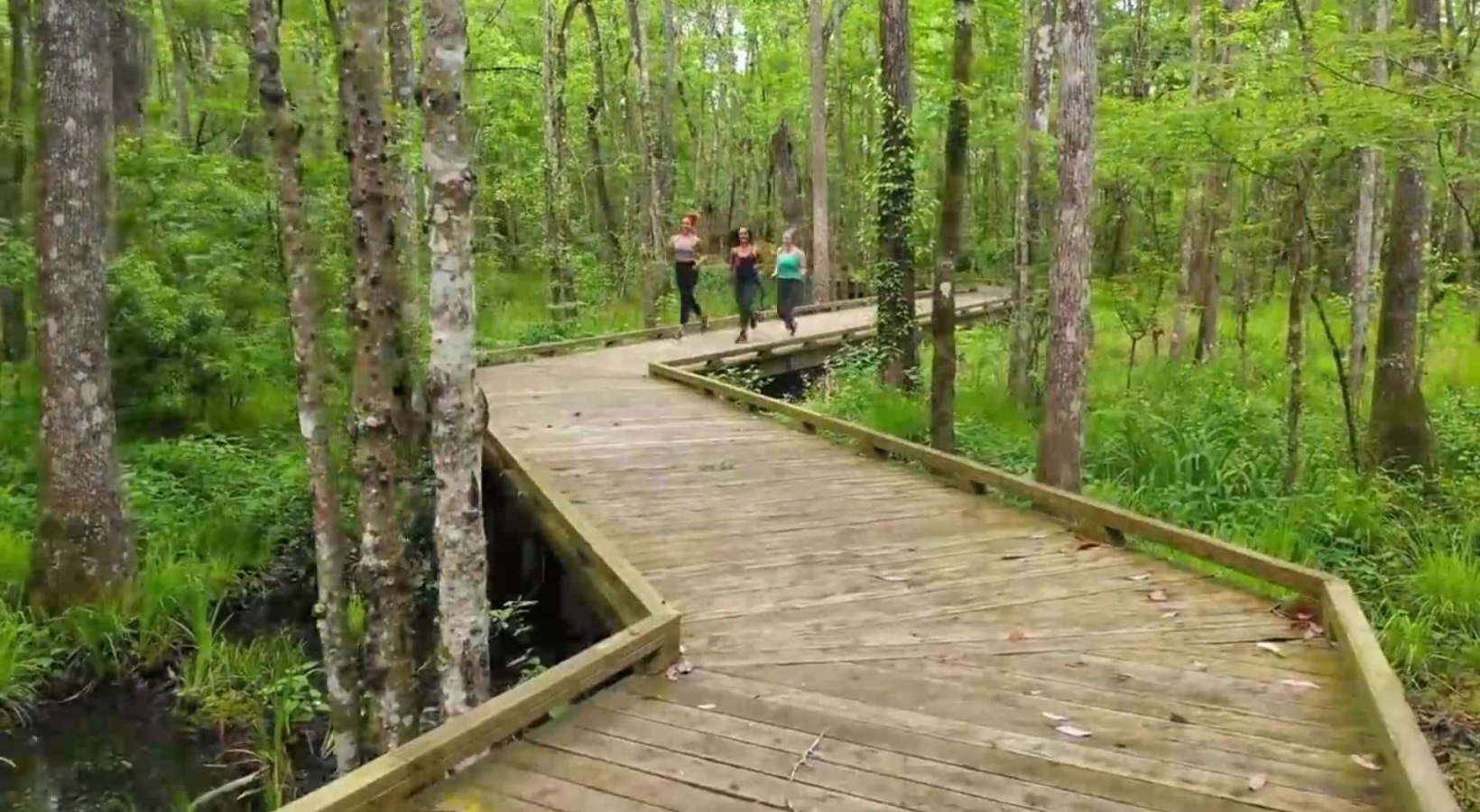 women jogging on a trail